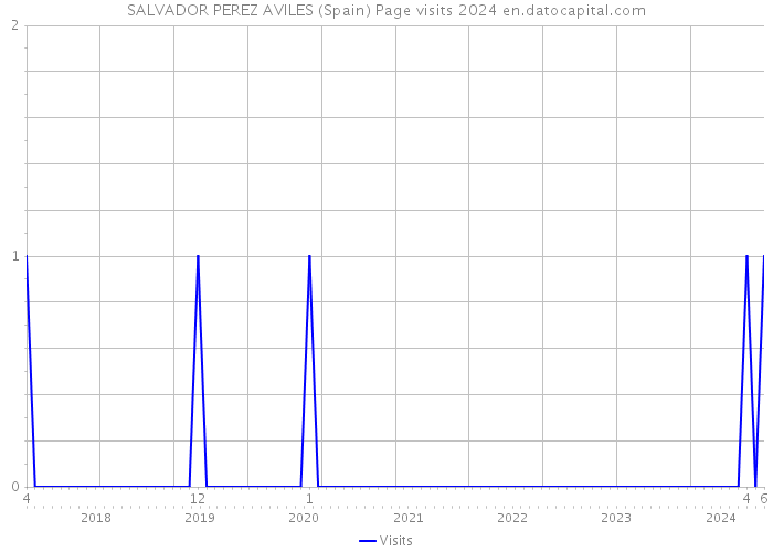 SALVADOR PEREZ AVILES (Spain) Page visits 2024 