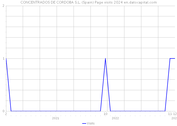 CONCENTRADOS DE CORDOBA S.L. (Spain) Page visits 2024 