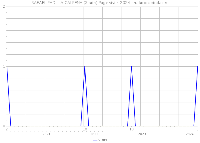 RAFAEL PADILLA CALPENA (Spain) Page visits 2024 