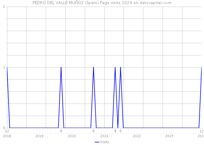 PEDRO DEL VALLE MUÑOZ (Spain) Page visits 2024 