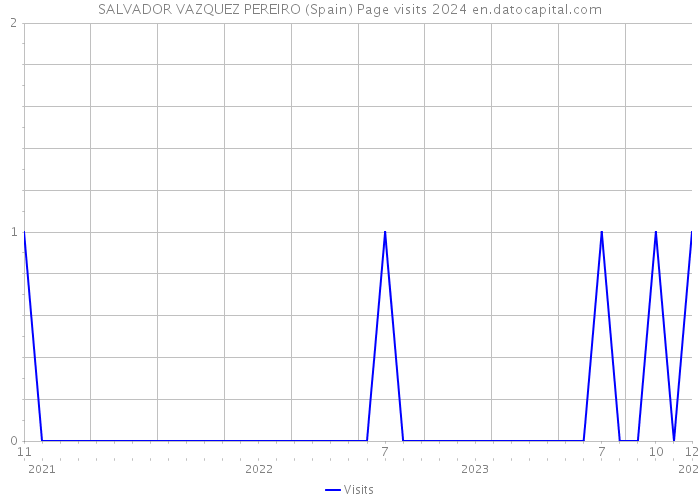 SALVADOR VAZQUEZ PEREIRO (Spain) Page visits 2024 