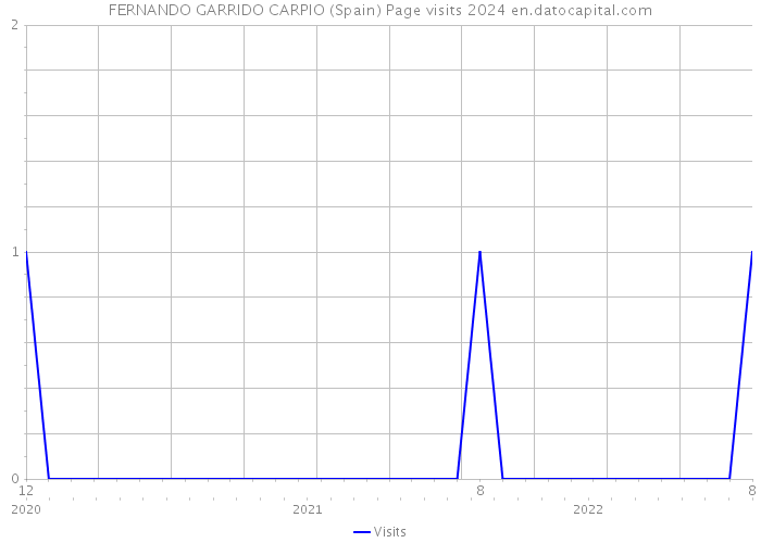 FERNANDO GARRIDO CARPIO (Spain) Page visits 2024 