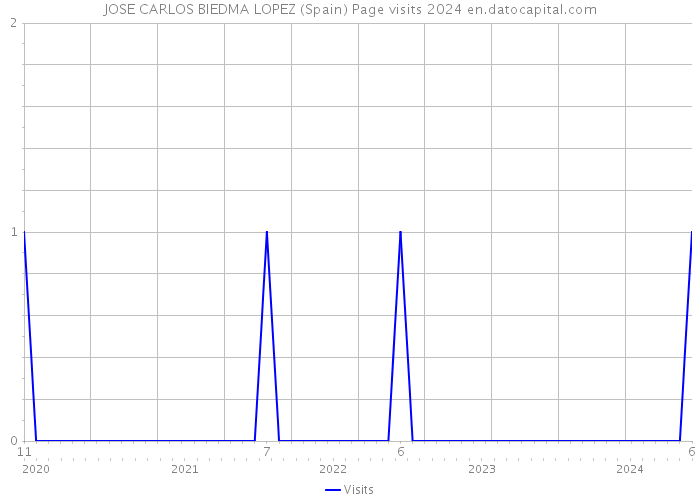 JOSE CARLOS BIEDMA LOPEZ (Spain) Page visits 2024 