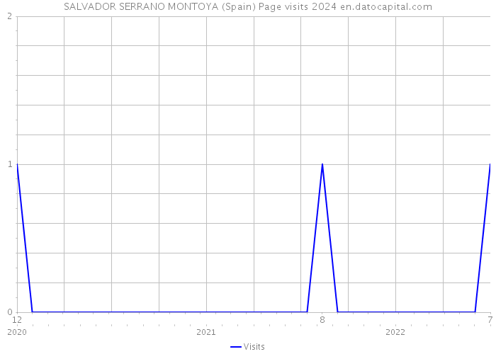 SALVADOR SERRANO MONTOYA (Spain) Page visits 2024 