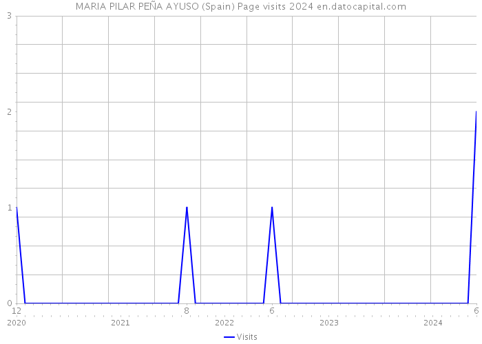 MARIA PILAR PEÑA AYUSO (Spain) Page visits 2024 