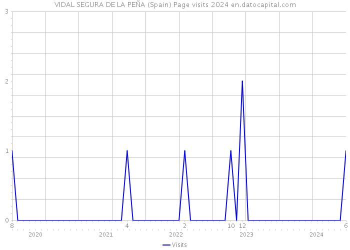 VIDAL SEGURA DE LA PEÑA (Spain) Page visits 2024 