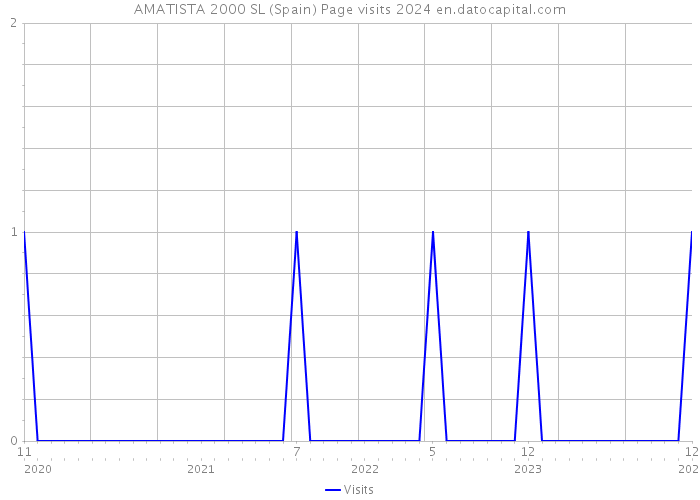 AMATISTA 2000 SL (Spain) Page visits 2024 