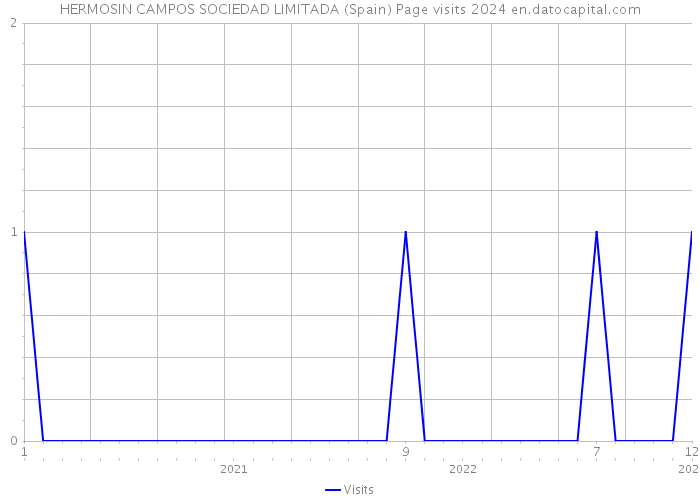 HERMOSIN CAMPOS SOCIEDAD LIMITADA (Spain) Page visits 2024 