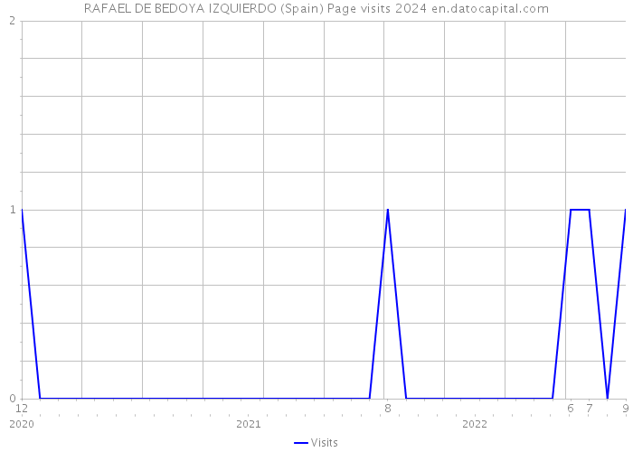 RAFAEL DE BEDOYA IZQUIERDO (Spain) Page visits 2024 