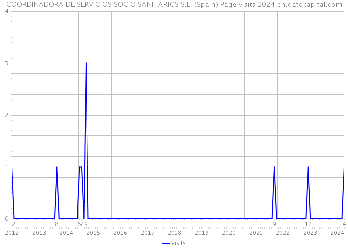 COORDINADORA DE SERVICIOS SOCIO SANITARIOS S.L. (Spain) Page visits 2024 
