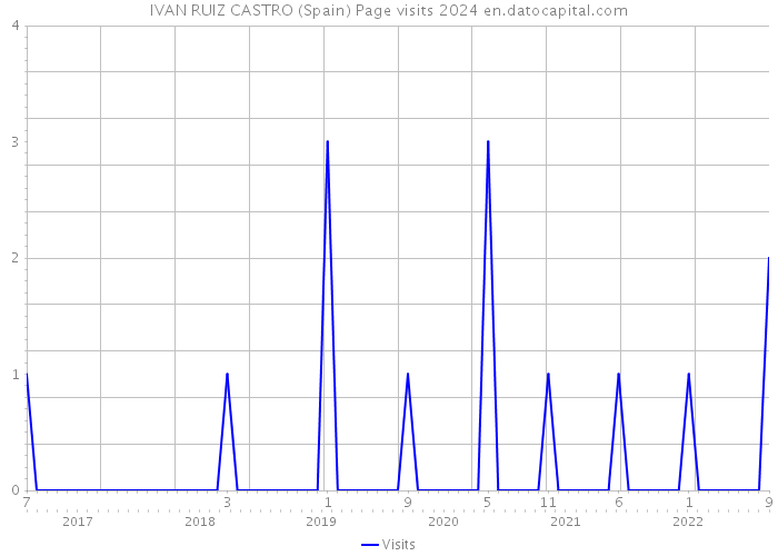 IVAN RUIZ CASTRO (Spain) Page visits 2024 