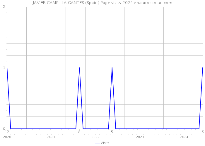 JAVIER CAMPILLA GANTES (Spain) Page visits 2024 