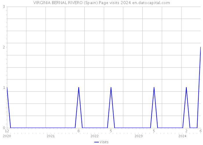 VIRGINIA BERNAL RIVERO (Spain) Page visits 2024 