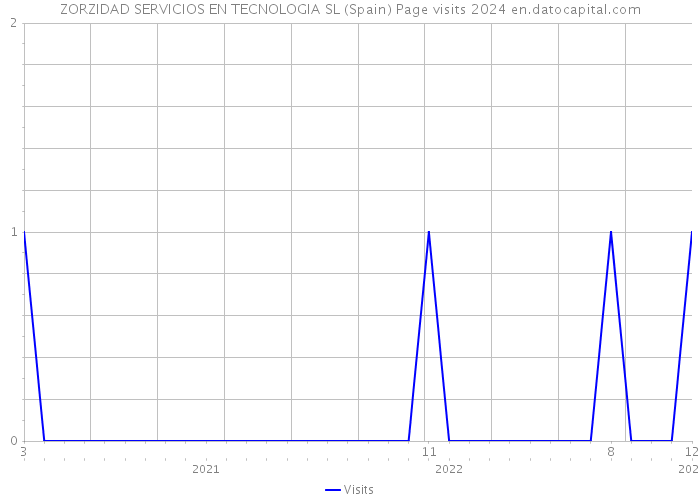 ZORZIDAD SERVICIOS EN TECNOLOGIA SL (Spain) Page visits 2024 