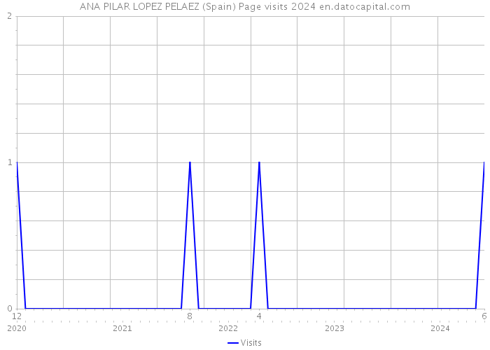 ANA PILAR LOPEZ PELAEZ (Spain) Page visits 2024 