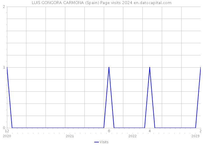 LUIS GONGORA CARMONA (Spain) Page visits 2024 