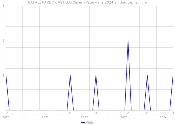 RAFAEL PARDO CASTILLO (Spain) Page visits 2024 