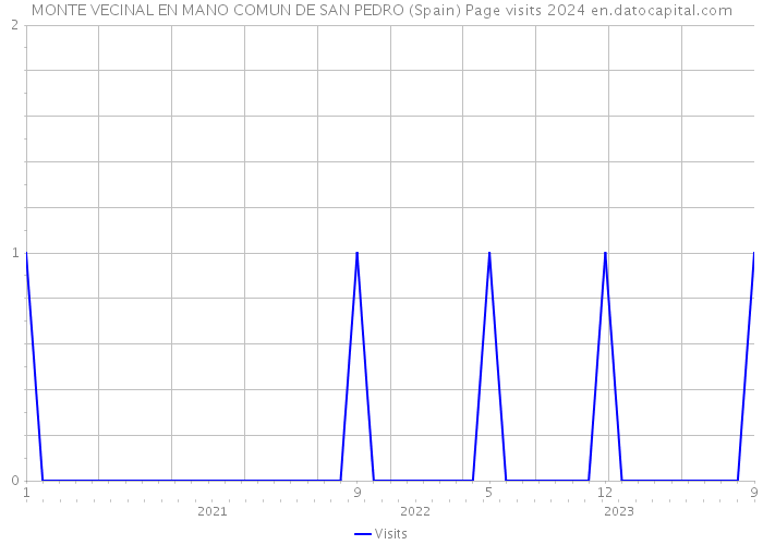 MONTE VECINAL EN MANO COMUN DE SAN PEDRO (Spain) Page visits 2024 