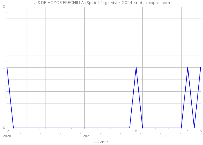 LUIS DE HOYOS FRECHILLA (Spain) Page visits 2024 