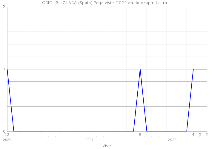 ORIOL RUIZ LARA (Spain) Page visits 2024 