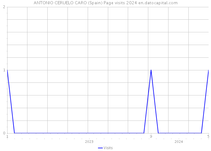 ANTONIO CERUELO CARO (Spain) Page visits 2024 