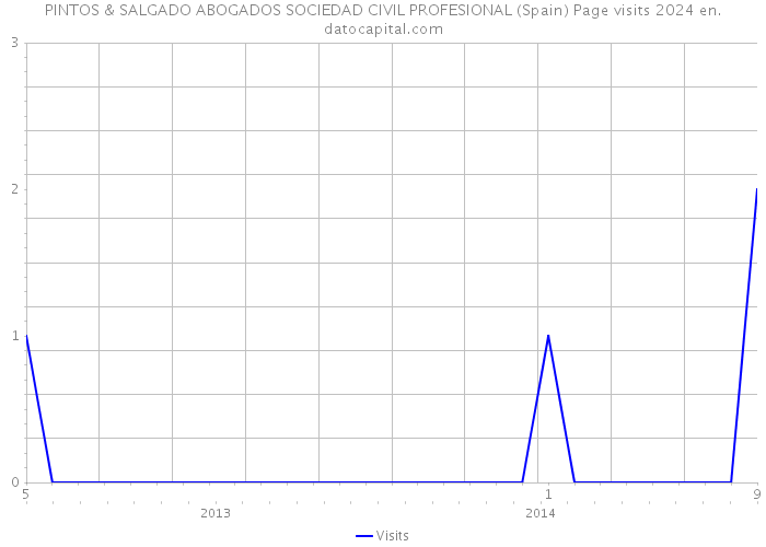 PINTOS & SALGADO ABOGADOS SOCIEDAD CIVIL PROFESIONAL (Spain) Page visits 2024 