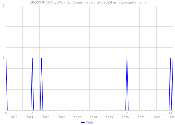 GROSS INCOME 2007 SL (Spain) Page visits 2024 