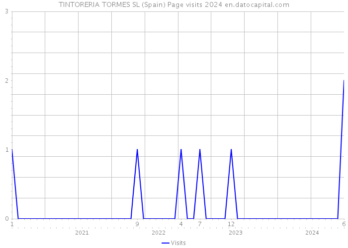 TINTORERIA TORMES SL (Spain) Page visits 2024 