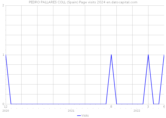 PEDRO PALLARES COLL (Spain) Page visits 2024 