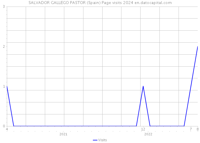 SALVADOR GALLEGO PASTOR (Spain) Page visits 2024 