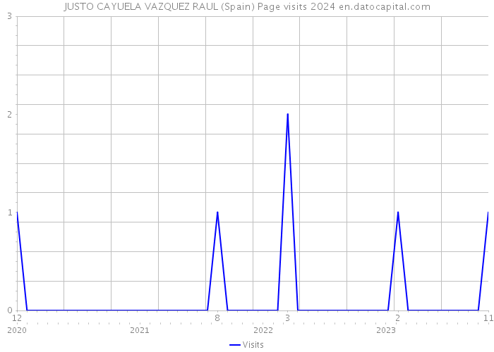 JUSTO CAYUELA VAZQUEZ RAUL (Spain) Page visits 2024 