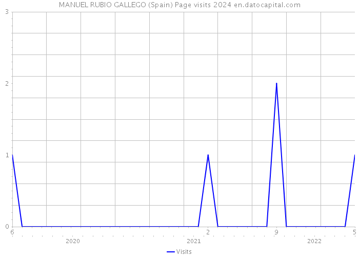 MANUEL RUBIO GALLEGO (Spain) Page visits 2024 