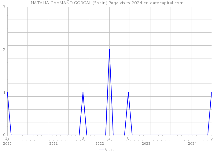 NATALIA CAAMAÑO GORGAL (Spain) Page visits 2024 