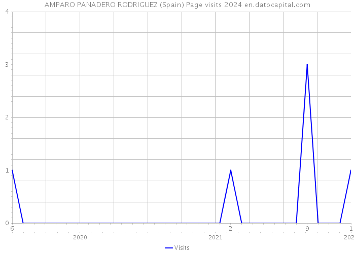 AMPARO PANADERO RODRIGUEZ (Spain) Page visits 2024 
