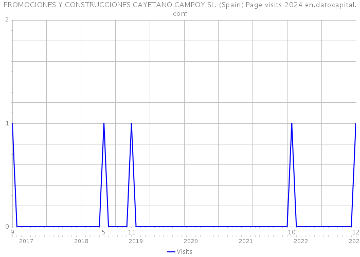 PROMOCIONES Y CONSTRUCCIONES CAYETANO CAMPOY SL. (Spain) Page visits 2024 