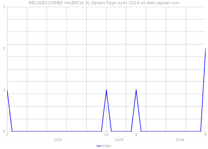 RECOLECCIONES VALENCIA SL (Spain) Page visits 2024 