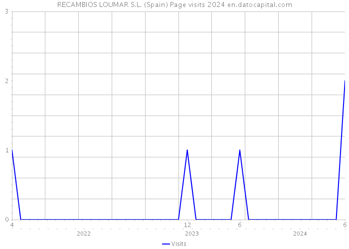 RECAMBIOS LOUMAR S.L. (Spain) Page visits 2024 