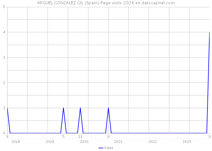 MIGUEL GONZALEZ GIL (Spain) Page visits 2024 