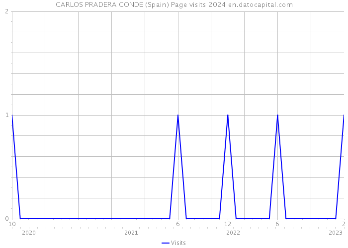 CARLOS PRADERA CONDE (Spain) Page visits 2024 