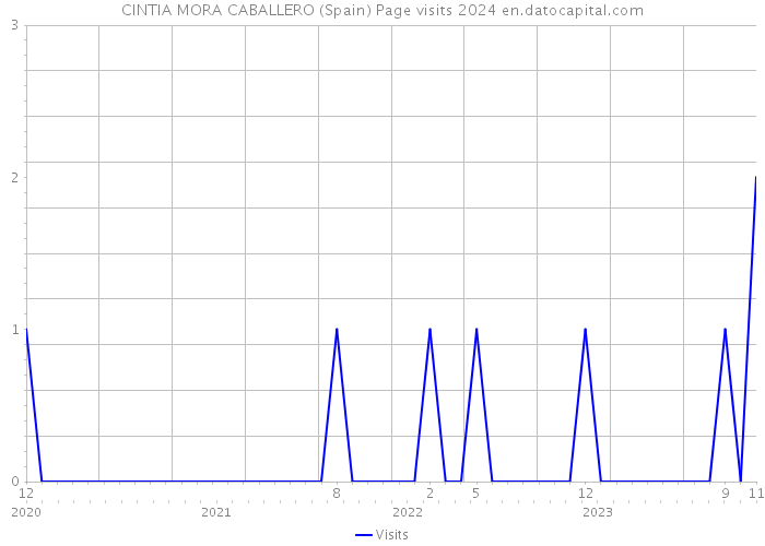 CINTIA MORA CABALLERO (Spain) Page visits 2024 