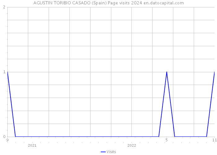 AGUSTIN TORIBIO CASADO (Spain) Page visits 2024 
