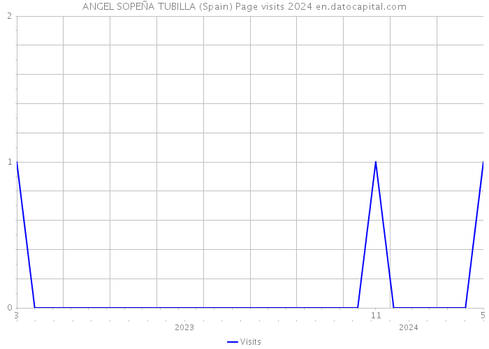 ANGEL SOPEÑA TUBILLA (Spain) Page visits 2024 