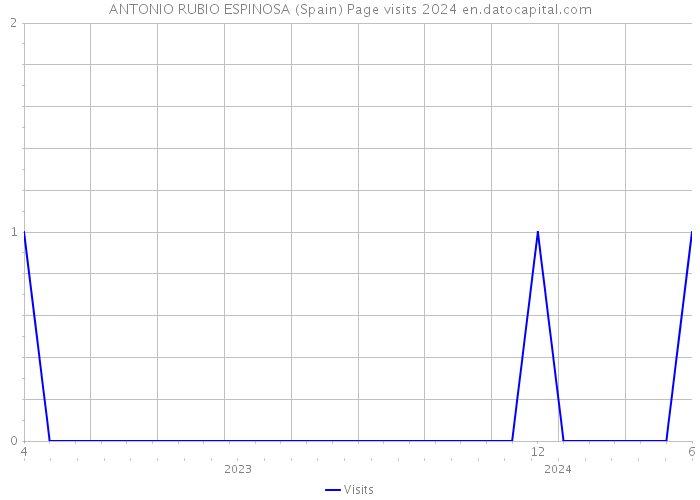 ANTONIO RUBIO ESPINOSA (Spain) Page visits 2024 