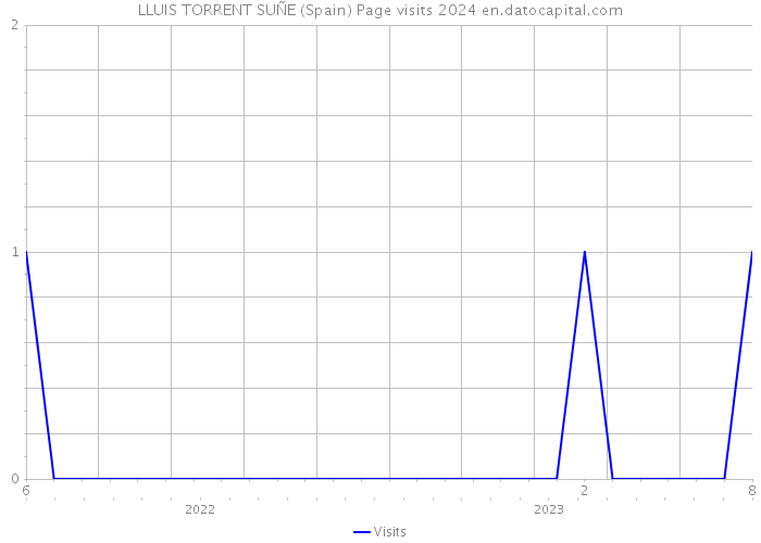 LLUIS TORRENT SUÑE (Spain) Page visits 2024 