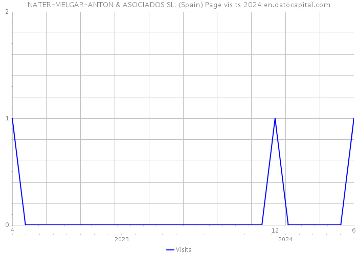 NATER-MELGAR-ANTON & ASOCIADOS SL. (Spain) Page visits 2024 