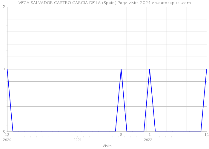 VEGA SALVADOR CASTRO GARCIA DE LA (Spain) Page visits 2024 