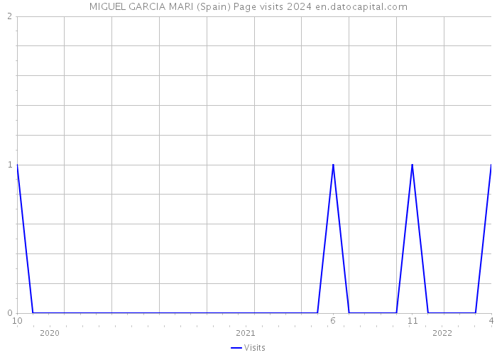 MIGUEL GARCIA MARI (Spain) Page visits 2024 