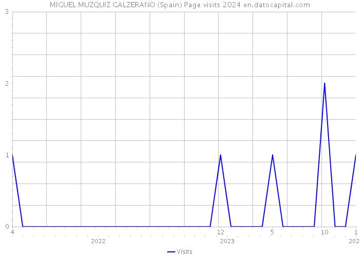 MIGUEL MUZQUIZ GALZERANO (Spain) Page visits 2024 