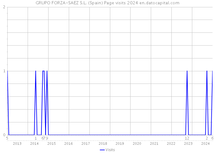 GRUPO FORZA-SAEZ S.L. (Spain) Page visits 2024 