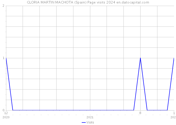 GLORIA MARTIN MACHOTA (Spain) Page visits 2024 